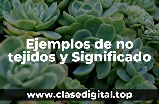 Ejemplos de no tejidos y Significado