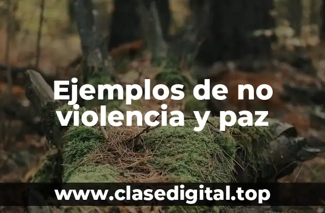 Ejemplos de no violencia y paz
