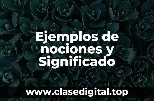Ejemplos de nociones y Significado