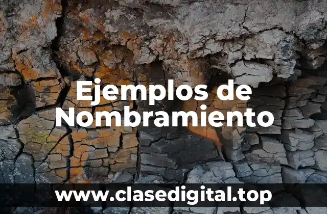Ejemplos de Nombramiento