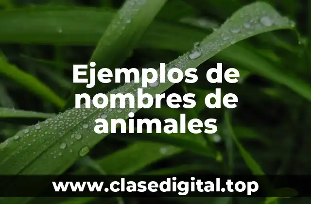 Ejemplos de nombres de animales