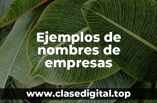 Ejemplos de nombres de empresas
