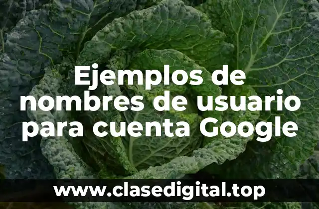 Ejemplos de nombres de usuario para cuenta Google