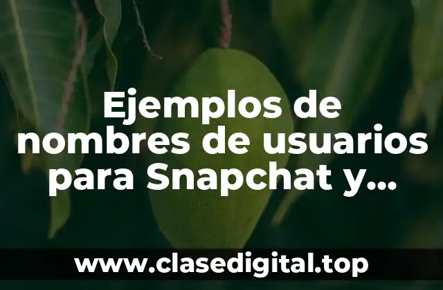 Ejemplos de nombres de usuarios para Snapchat y Significado
