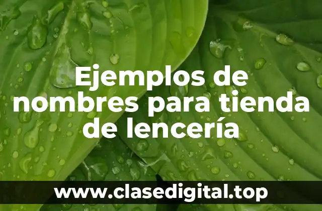Ejemplos de nombres para tienda de lencería