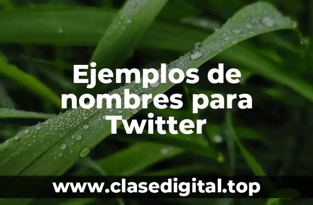 Ejemplos de nombres para Twitter