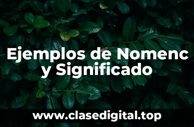 Ejemplos de Nomenc y Significado