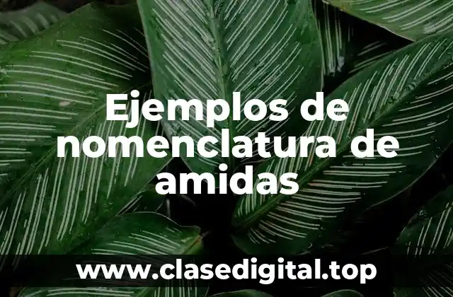 Ejemplos de nomenclatura de amidas