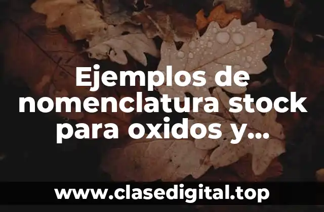 Ejemplos de nomenclatura stock para oxidos y Significado