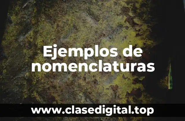 Ejemplos de nomenclaturas