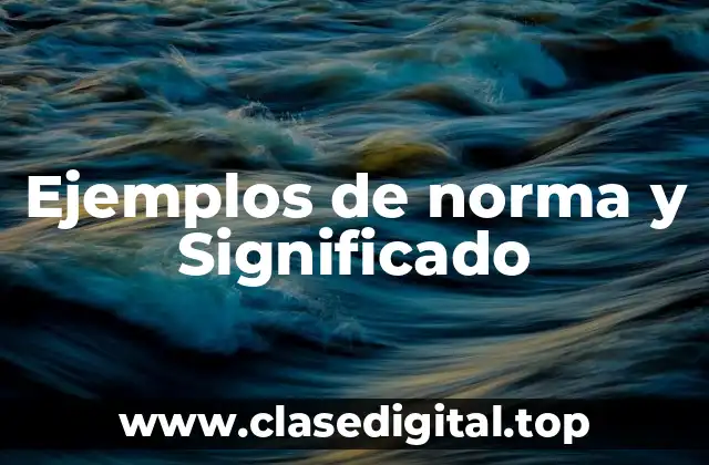 Ejemplos de norma