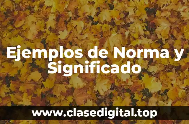 Ejemplos de Norma y Significado