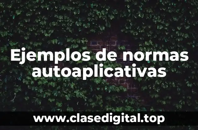 Ejemplos de normas autoaplicativas