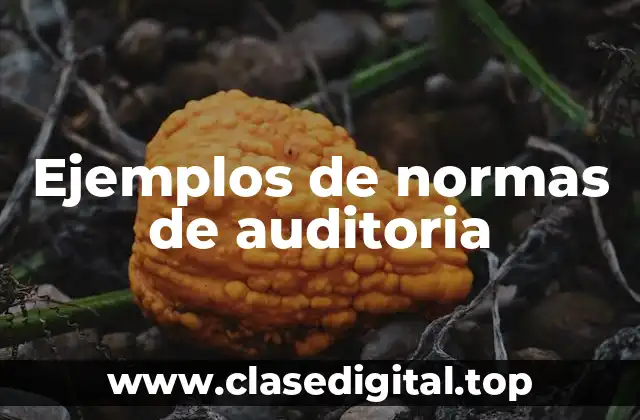 Ejemplos de normas de auditoria
