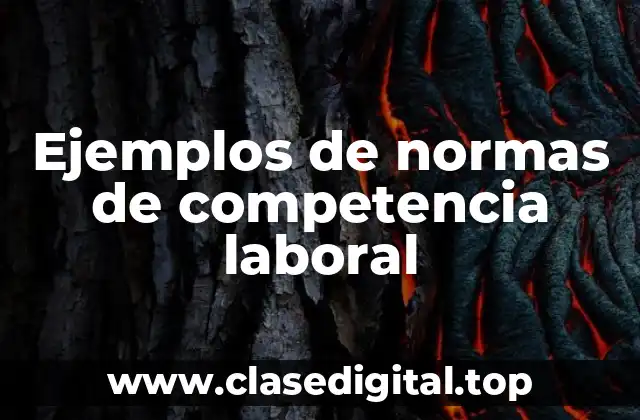 Ejemplos de normas de competencia laboral