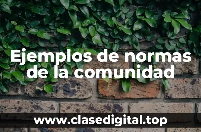 Ejemplos de normas de la comunidad