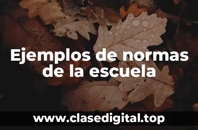 Ejemplos de normas de la escuela