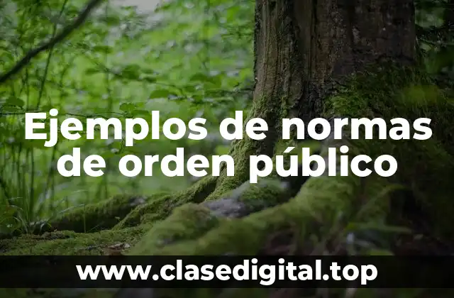 Ejemplos de normas de orden público