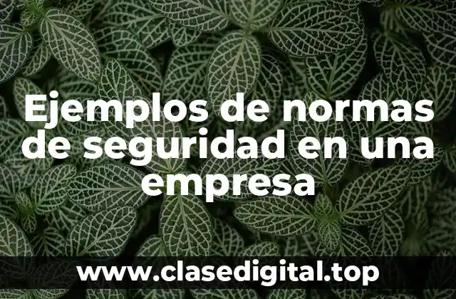 Ejemplos de normas de seguridad en una empresa