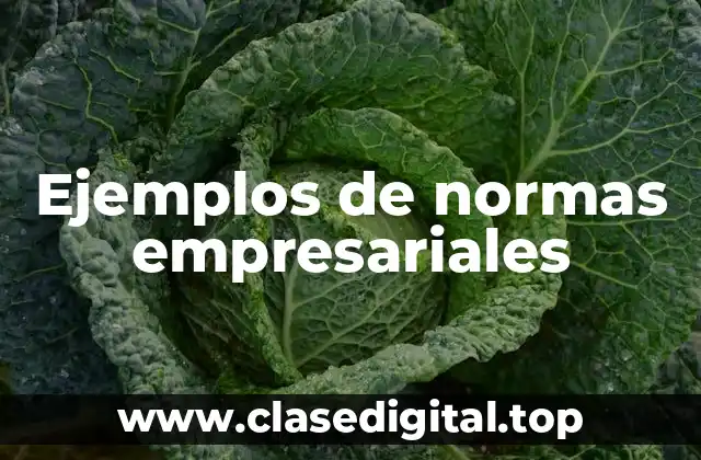 Ejemplos de normas empresariales