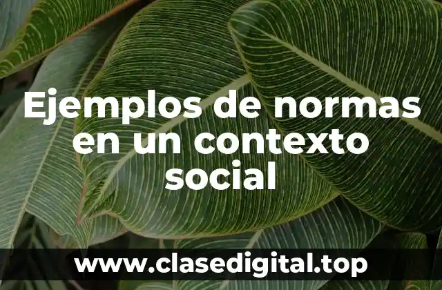 Ejemplos de normas en un contexto social