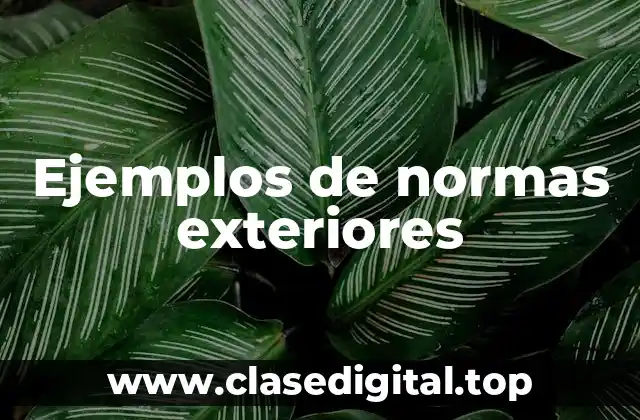 Ejemplos de normas exteriores