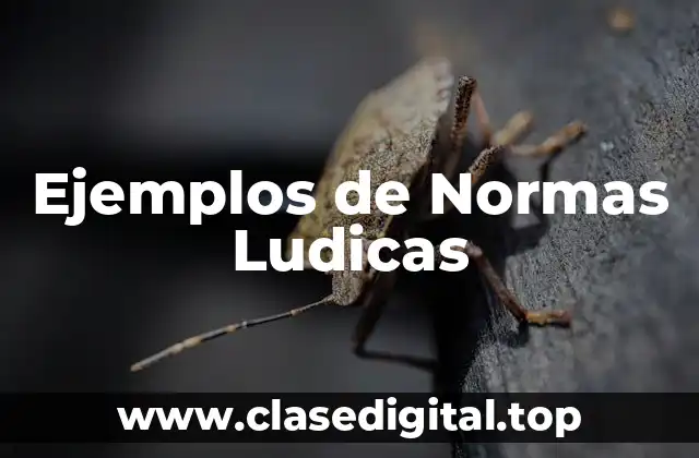 Ejemplos de Normas Ludicas