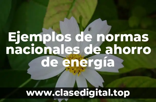 Ejemplos de normas nacionales de ahorro de energía