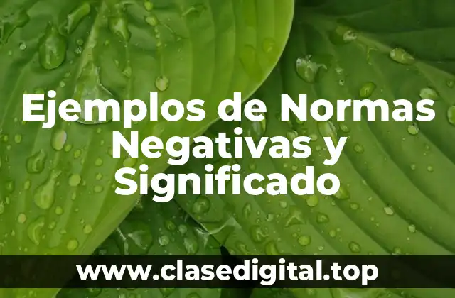 Ejemplos de Normas Negativas y Significado