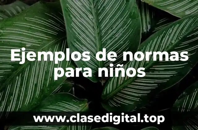 Ejemplos de normas para niños