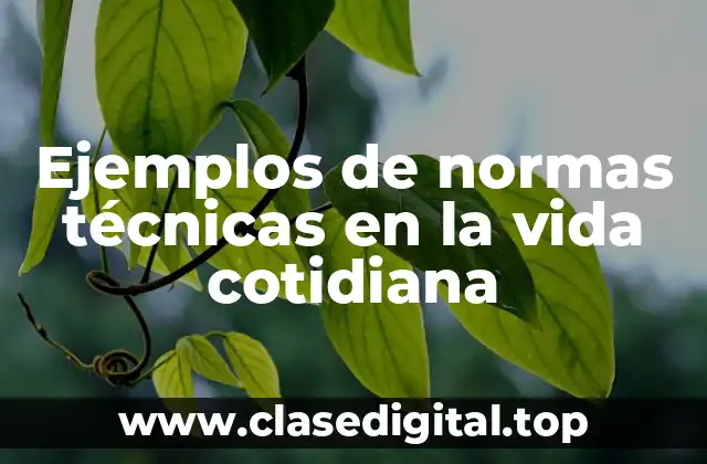 Ejemplos de normas técnicas en la vida cotidiana