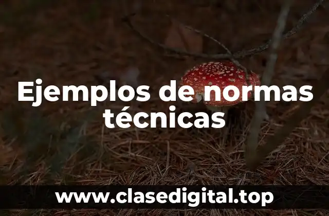 Ejemplos de normas técnicas