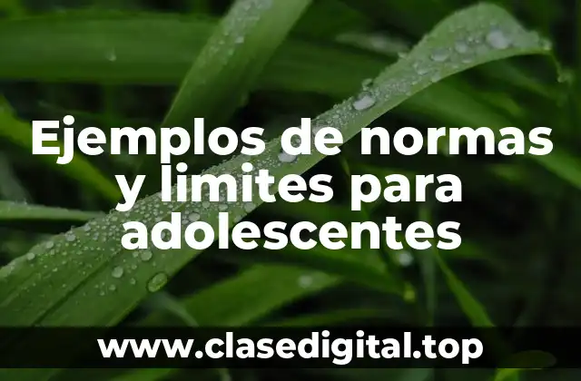 Ejemplos de normas y límites para adolescentes