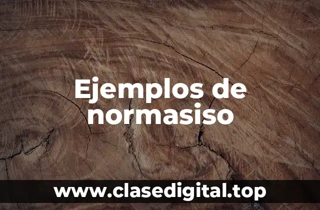 Ejemplos de normasiso