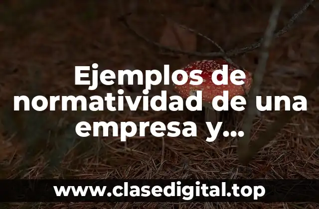 Ejemplos de normatividad de una empresa y Significado