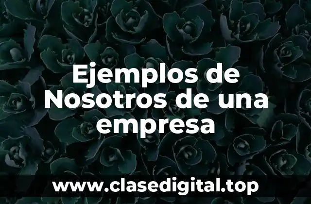 Ejemplos de Nosotros de una empresa