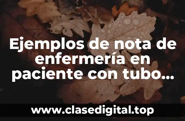 Ejemplos de nota de enfermería en paciente con tubo endotraqueal