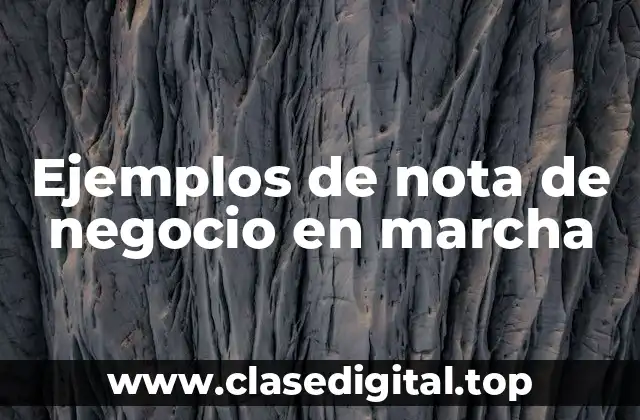 Ejemplos de nota de negocio en marcha