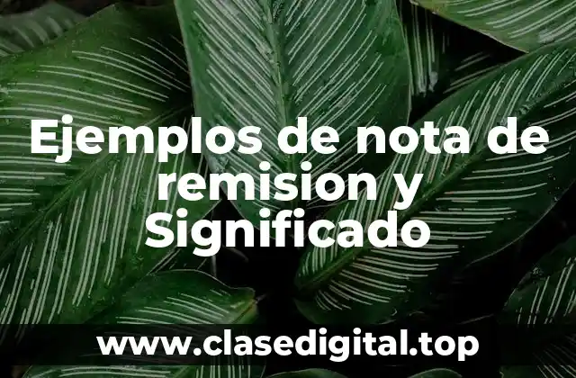 Ejemplos de nota de remision y Significado