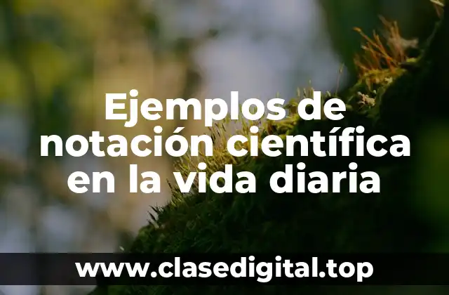 Ejemplos de notación científica en la vida diaria