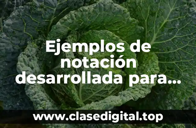 Ejemplos de notación desarrollada para niños