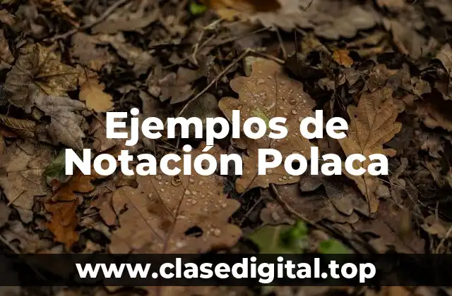 Ejemplos de Notación Polaca