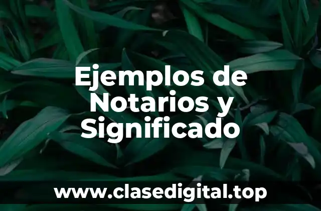 Ejemplos de Notarios y Significado