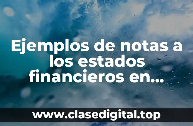 Ejemplos de notas a los estados financieros en Colombia