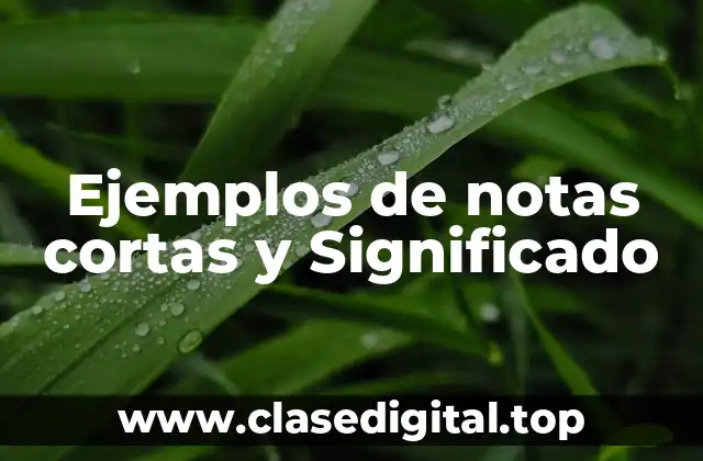 Ejemplos de notas cortas y Significado