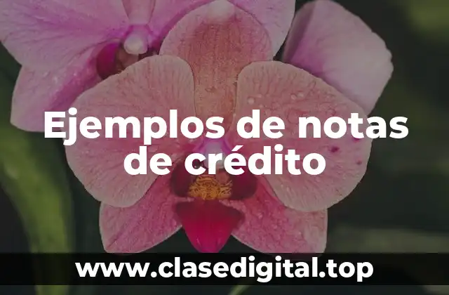 Ejemplos de notas de crédito
