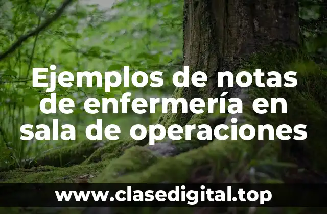 Ejemplos de notas de enfermería en sala de operaciones