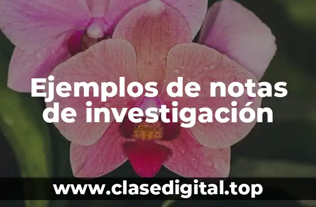 Ejemplos de notas de investigación