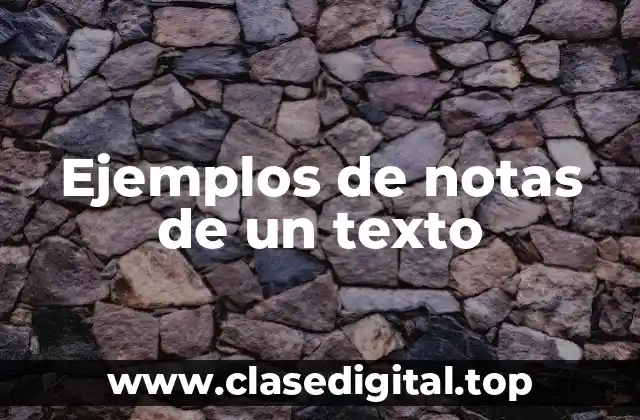 Ejemplos de notas de un texto