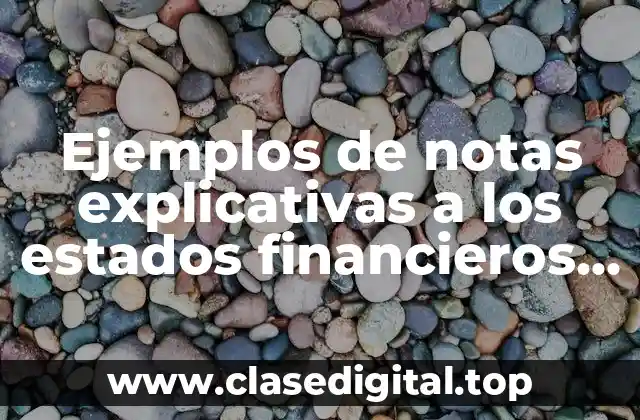 Ejemplos de notas explicativas a los estados financieros bajo NIIF